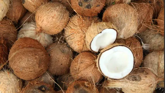 नारळाचे भाव वाढतेच..! Coconut prices are increasing..!