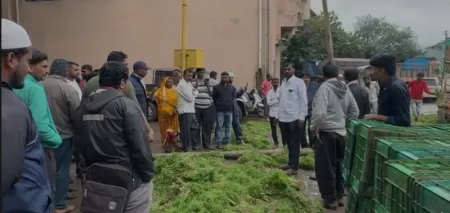 Farmer suffers losses due to the negligence of the fruit market