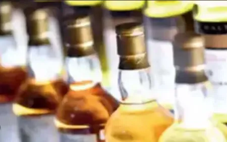 Liquor Worth Over ₹1.25 Crore of Goan Make Seized