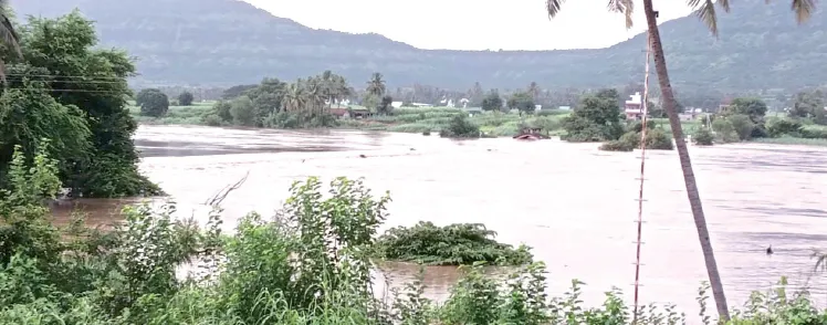 Crops submerged, farmers distressed