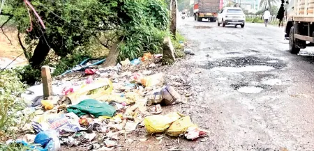 A heap of garbage right at the entrance of Patan