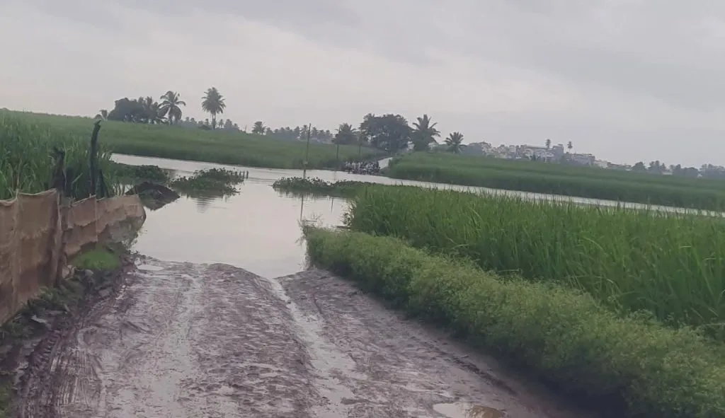 Haripur–Kothali and Bypass Bridges Bound to Go Underwater!