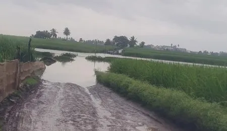 Haripur–Kothali and Bypass Bridges Bound to Go Underwater!