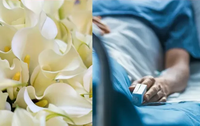 The experience of going to heaven due to 'scent'