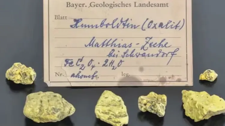 A rare treasure was found thanks to a 75-year-old letter
