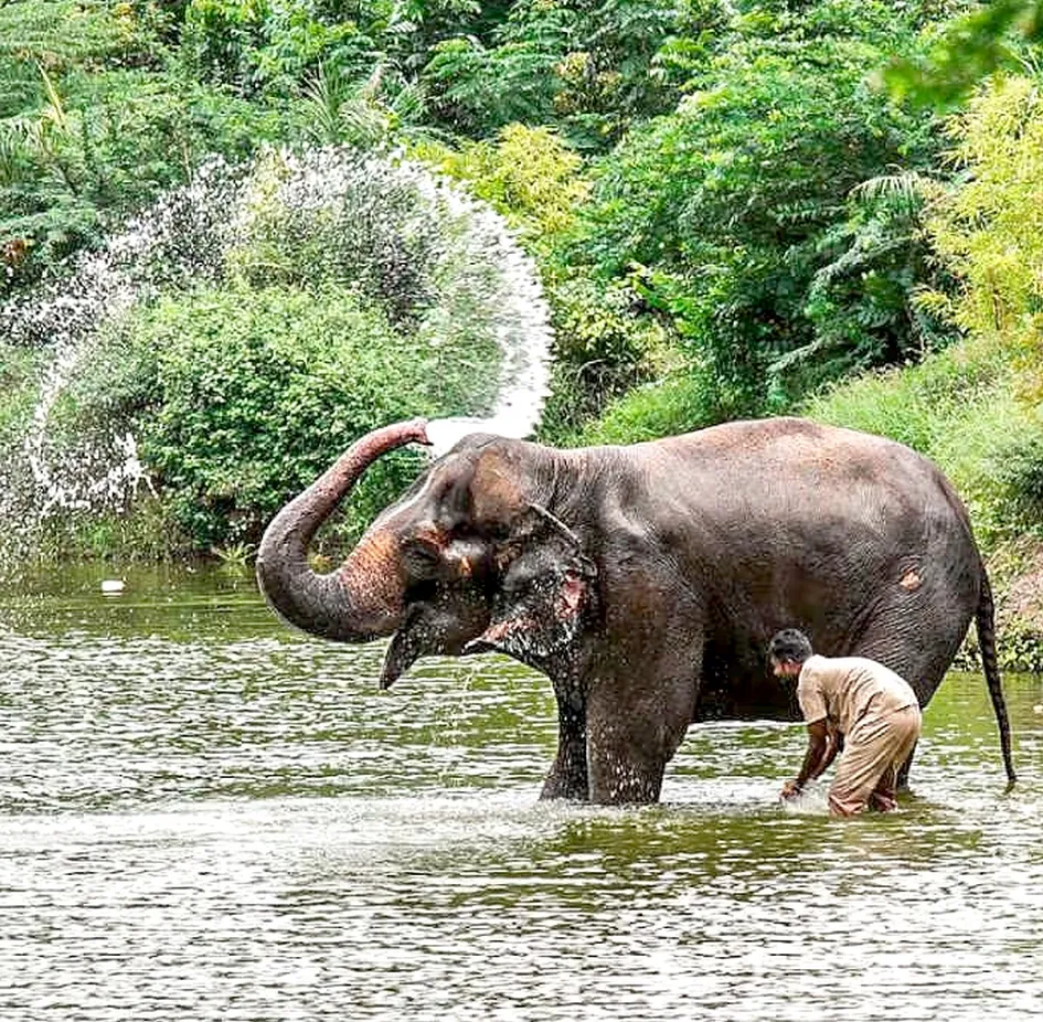 Kolhapurkars fought and won..