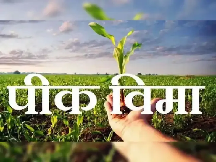 Over 10,000 farmers in the district have taken crop insurance