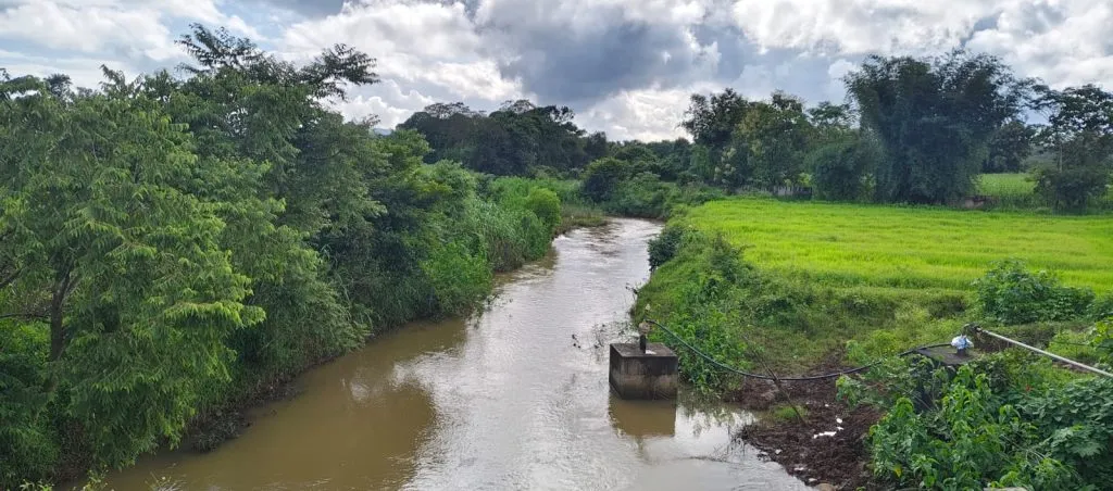 खरीप हंगामातील पिकांसाठी जोरदार पावसाची गरज Heavy rains needed for Kharif crops