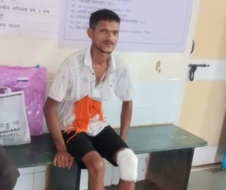 बिबट्याने दुचाकीवर उडी मारल्याने तरुण जखमी Young man injured after a leopard pounced on a motorcycle