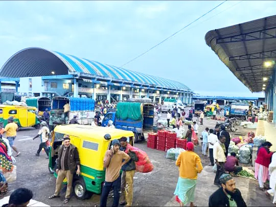 एपीएमसी भाजी मार्केट पुन्हा गजबजले APMC vegetable market is bustling again