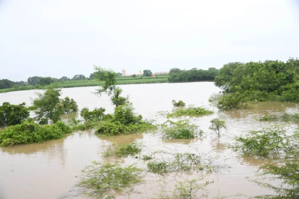 पूरस्थिती योग्यरित्या हाताळा : मुख्यमंत्री सिद्धरामय्या Handle the flood situation properly : Chief Minister Siddaramaiah