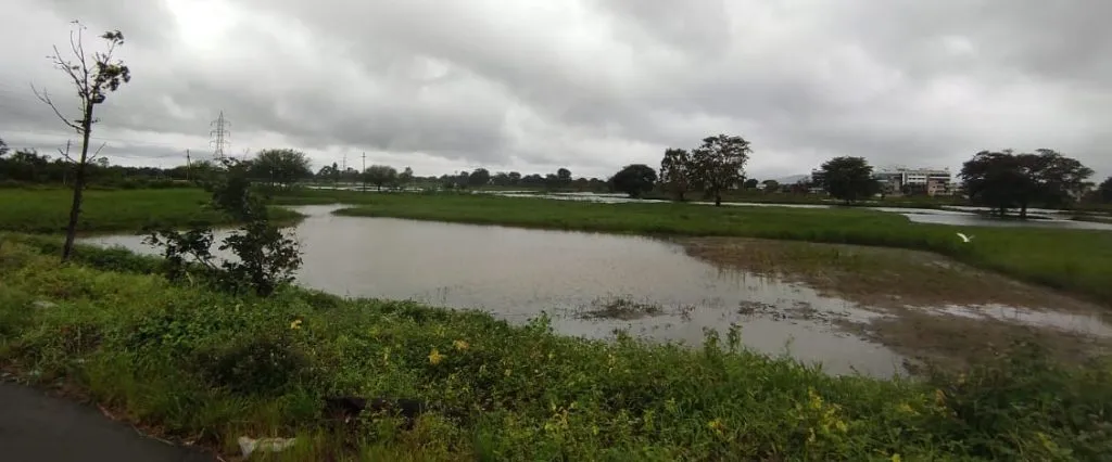 Heavy rains disrupt normal life