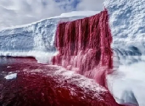 "Blood" on the iceberg