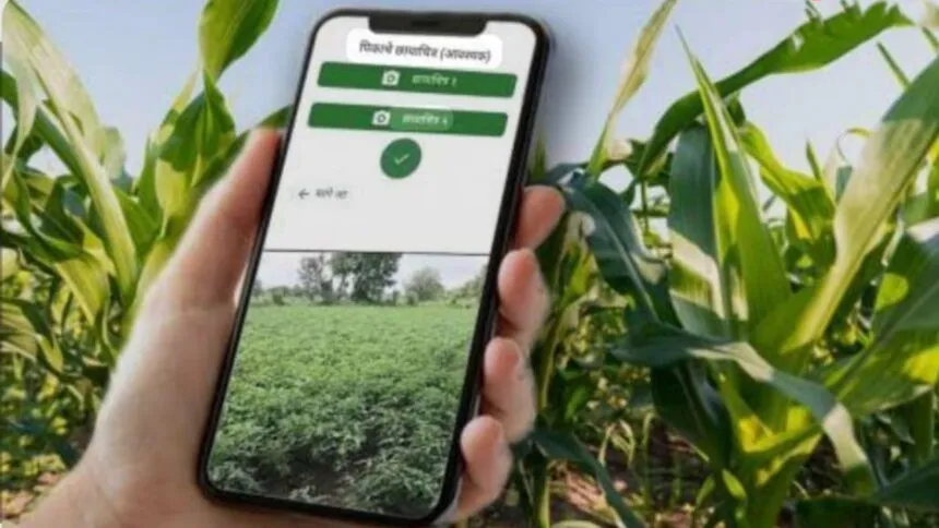 हजार खर्च करून रुपया मिळाला नाय… Spent a thousand, didn't even get a rupee in return...