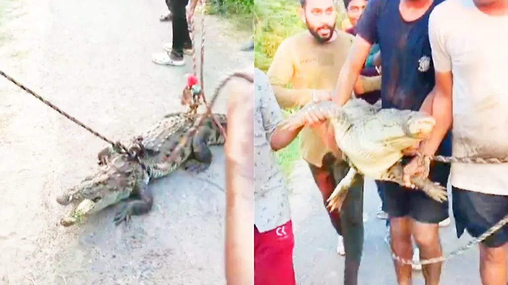 This happens only in Bihar...