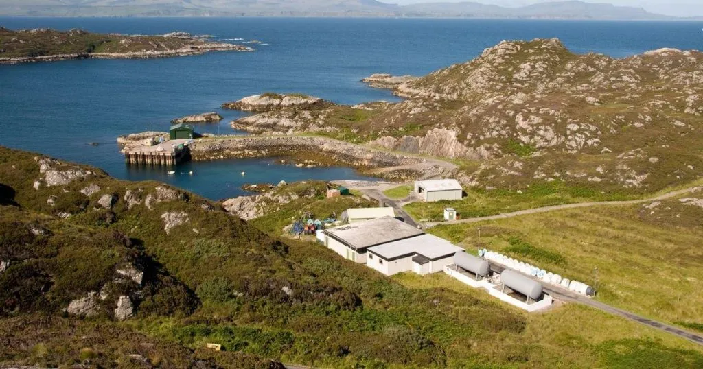 Job opportunity on a deserted island