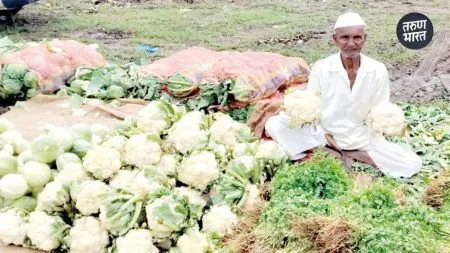 market stunned to see this cry coming from lips of an elderly farmer