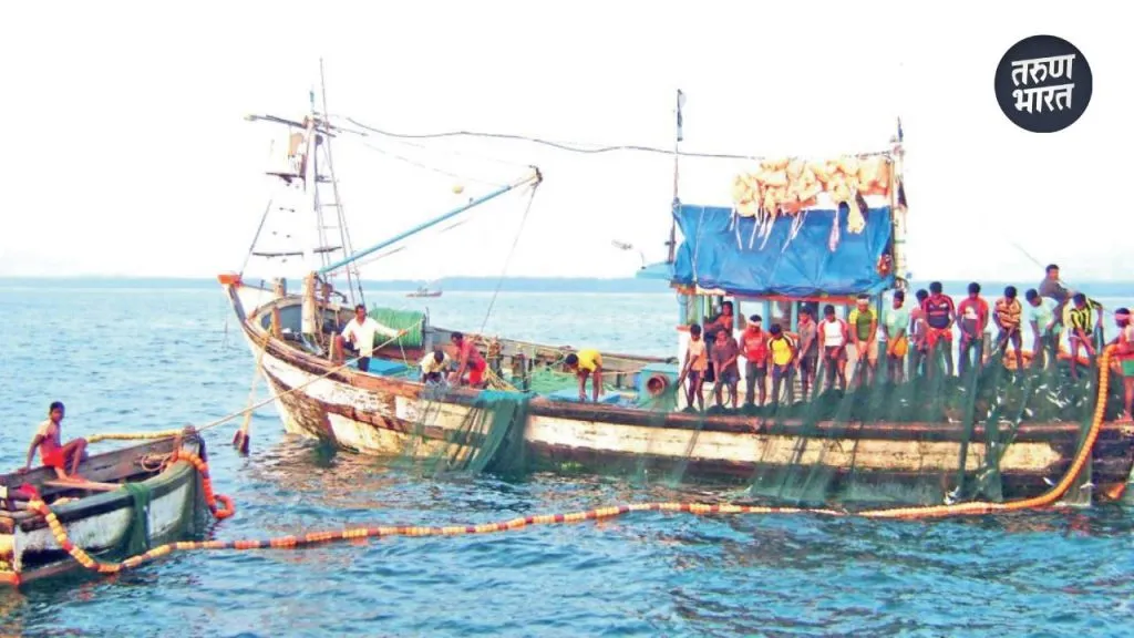 Konkan News: रत्नागिरी, सिंधुदुर्ग एकही पर्ससीन परवाना नाही, मासेमारी झाल्यास कारवाई होणार fishing within national limits 12 nautical miles fishing cannot one