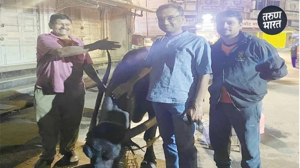 Dudha Katta Kolhapur: पोलीस अधिक्षकांनी घेतला दूध कट्ट्याचा अनुभव, गंगावेशमध्ये गवळ्यांबरोबर संवाद Buffalo milk lifeblood Kolhapurites stalls Gangavesh, Mirajkar Tikti