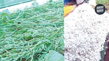 young farmers moving towards self-reliance embracin silk industry