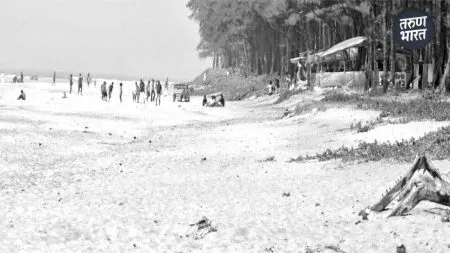 20th international Coastal Cleanup Day, this cleanliness campaign