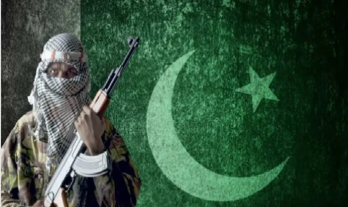 17 TTP terrorists killed in Pakistan