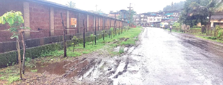 नियोजनशुन्यतेमुळे वृक्ष लागवड ठरणार अडचणीची Tree plantation will become difficult due to lack of planning