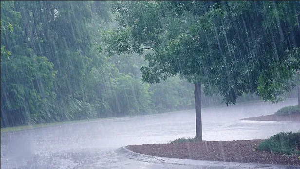 Monsoon on its way back