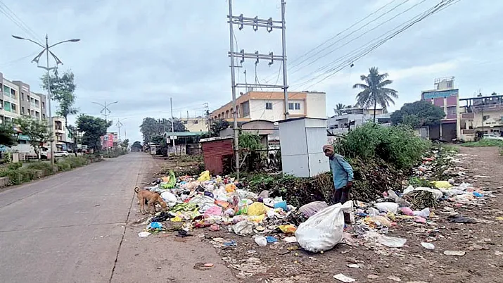 Heaps of garbage in the suburbs of Gholeshwar