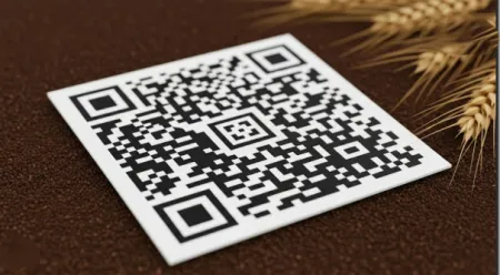 आता रेशन दुकानाची तक्रार क्युआर कोडवर Now, complaints about ration shops through QR code