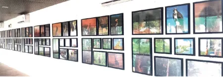 Name the Forest Department's photo gallery after Nilesh Bapat!