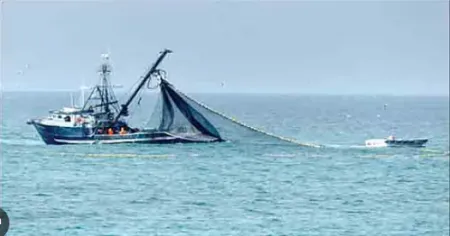 पर्ससीन मासेमारी तुमची, मासळी आमची Purse seine fishing is yours, but the fish is ours!