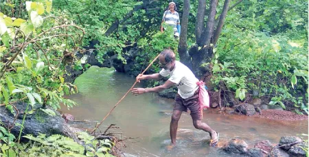 The tribal community's struggle for survival continues!