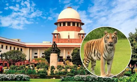 Report on tiger reserves to be submitted to Supreme Court today