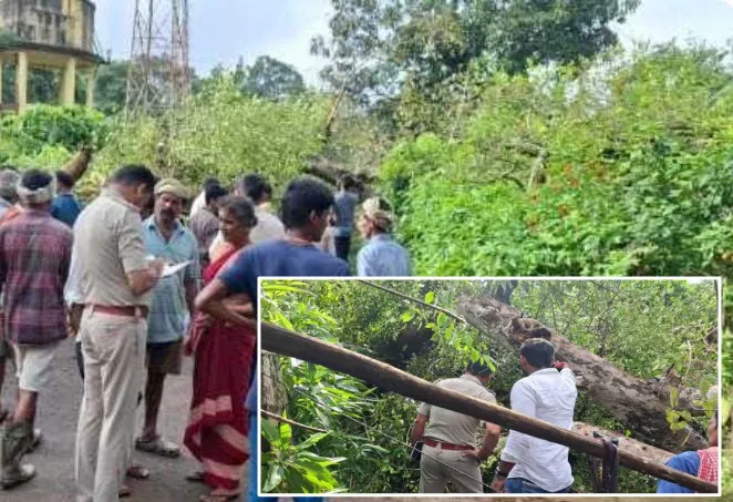 Pregnant woman and daughter die after tree falls