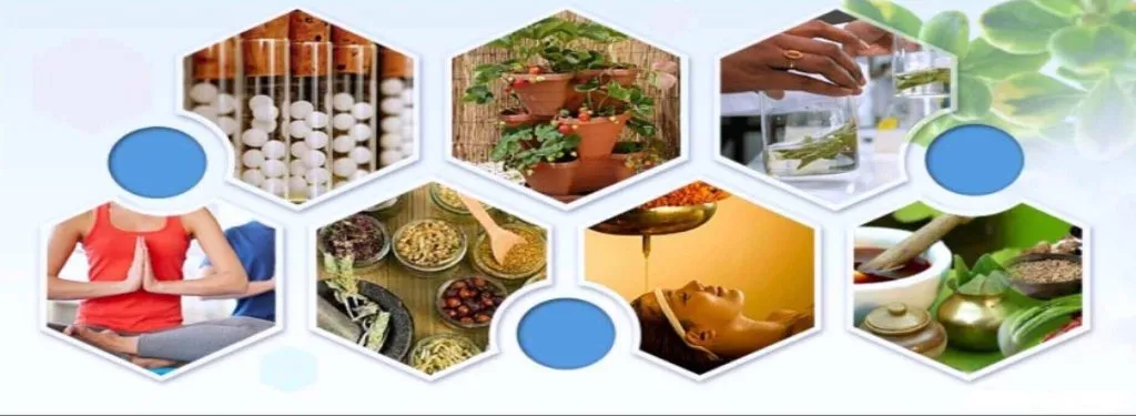 निपाणीसह 10 ठिकाणी योग-निसर्गोपचार केंद्रे Yoga-naturopathy centers in 10 places including Nipani