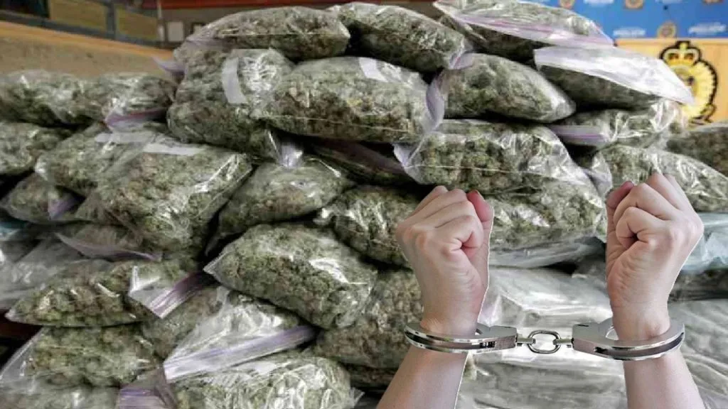 देवगडात गांजाची देवाण – घेवाण करताना चौघांना रंगेहाथ पडकले