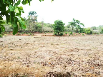 TPC announces proposal to convert 1.30 lakh sq m of land