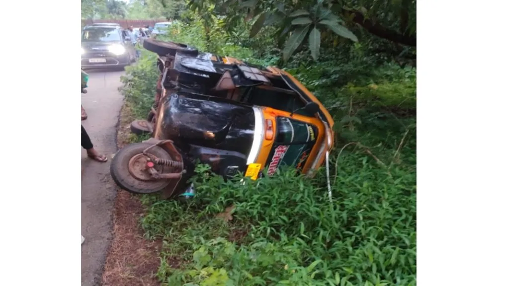 गवा आडवा आल्याने रिक्षा पलटी ; चालक गंभीर