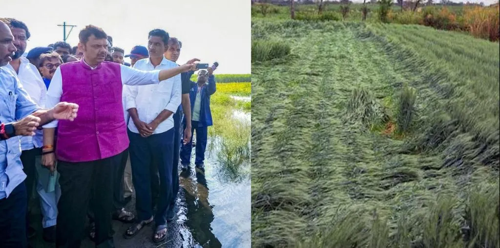 Expecting sensitivity from politicians rather than help