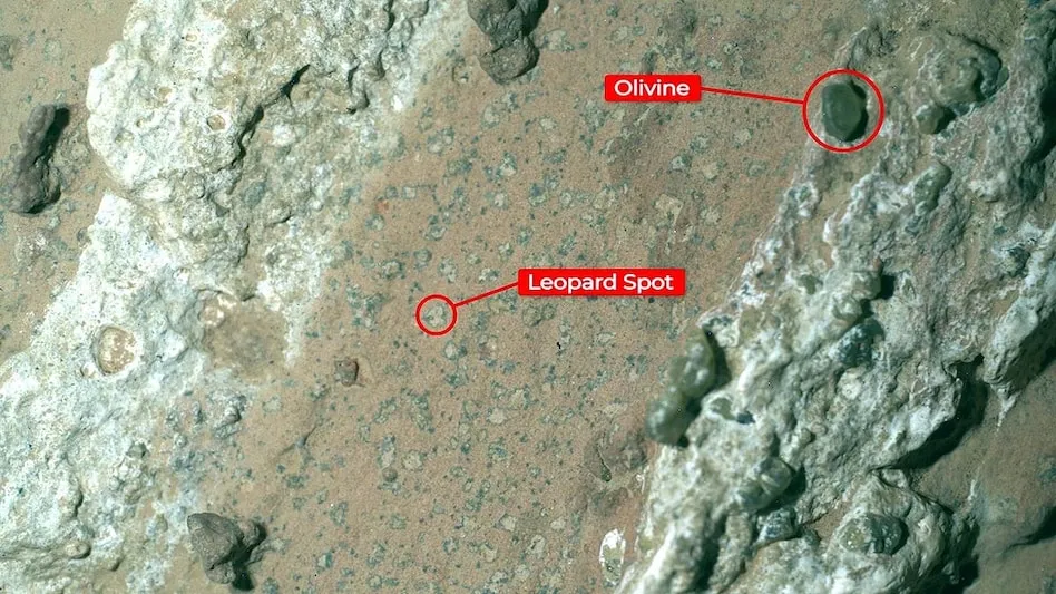 NASA finds signs of ancient life on Mars