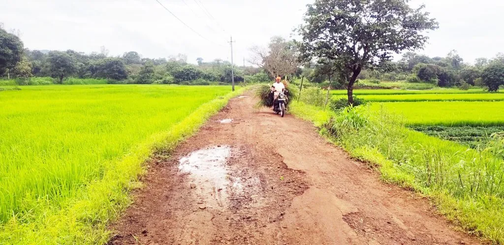 कर्ले-बेळवट्टी संपर्क रस्त्याचे डांबरीकरण कधी? When will the Karle-Belavatti link road be asphalted?