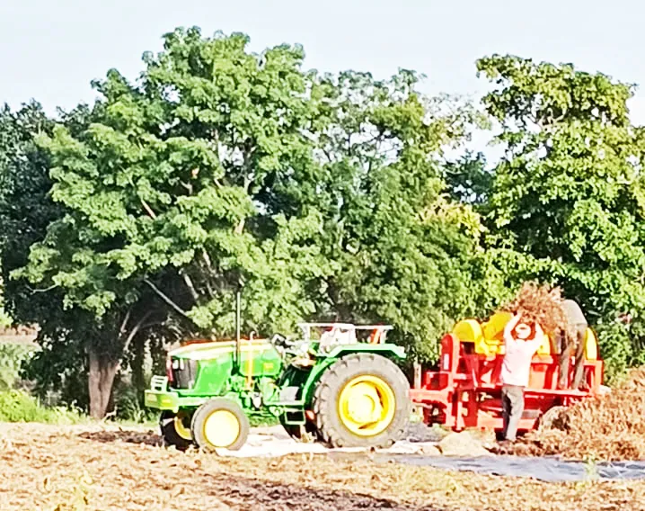 धामणे, राजहंसगड, नागेनहट्टी भागात सोयाबीन, रताळी, बटाटा काढणीला जोर Soybean, sweet potato and potato harvesting in focus in Dhamane, Rajhansgad and Nagenhatti areas