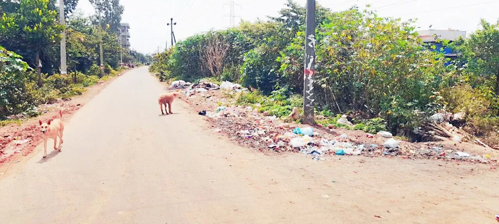 धामणे रस्ता झाडेझुडपे-कचऱ्याच्या विळख्यात Dhamane Road is covered in bushes and garbage