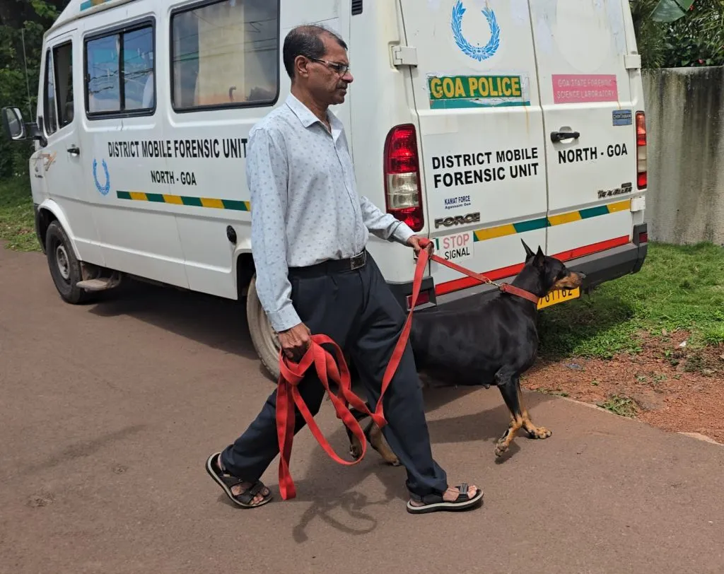 म्हापशात दरोडा, 50 लाख लंपास Robbery in Mapusa, 50 lakh stolen