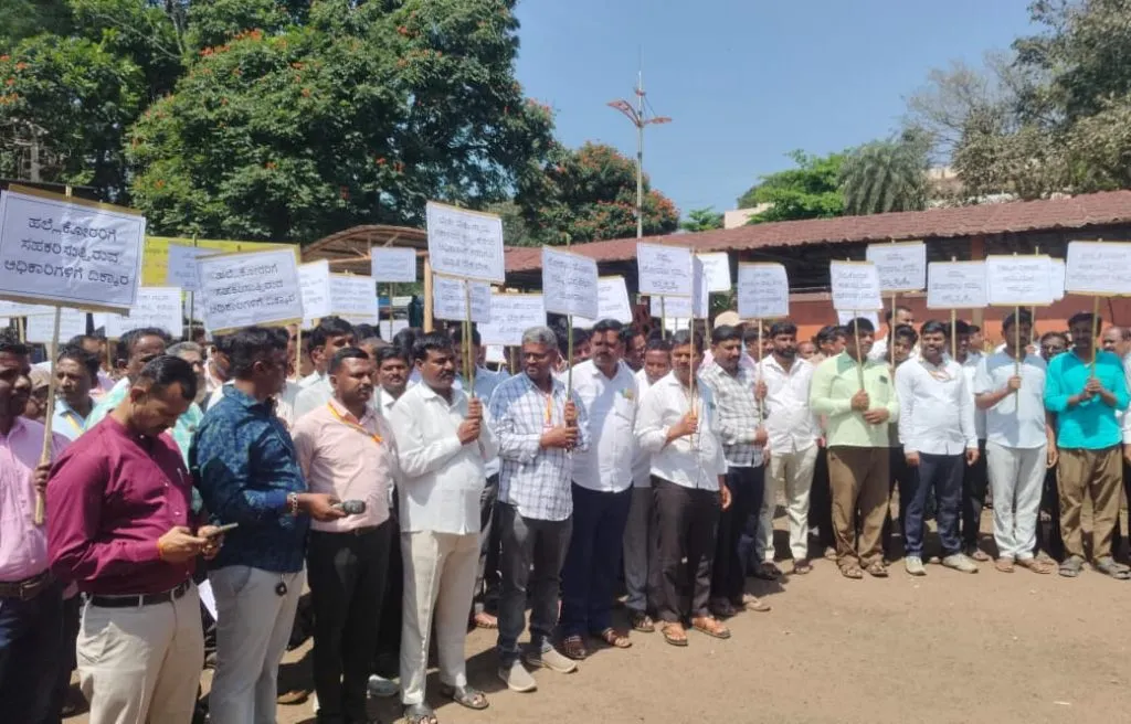 Take immediate action against those who attacked PDO