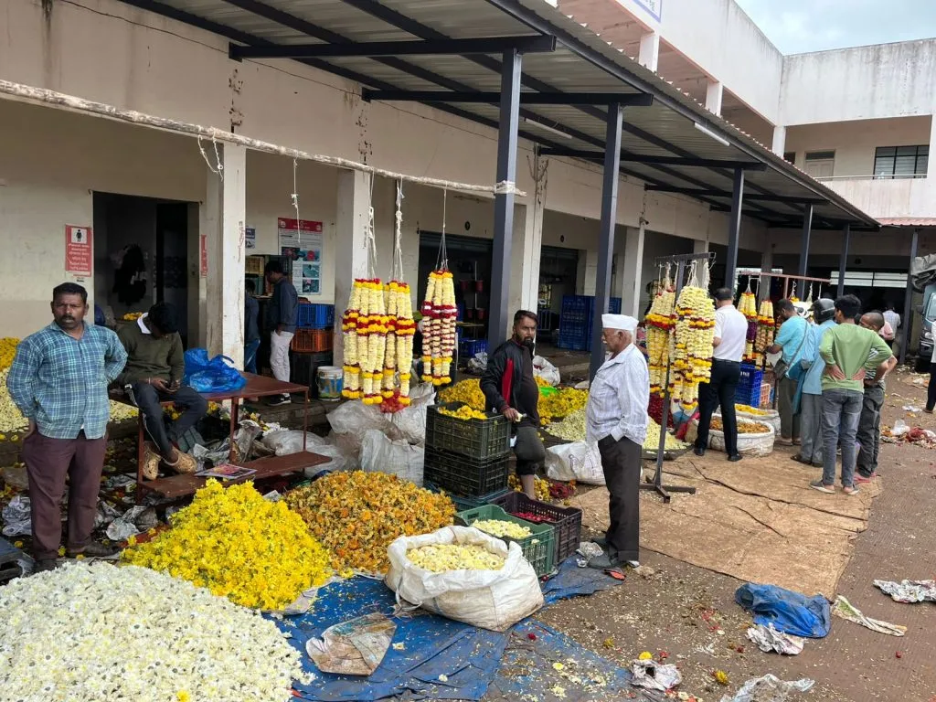विजयादशमीच्या पार्श्वभूमीवर खरेदीसाठी गर्दी Crowd for shopping on the occasion of Vijayadashami