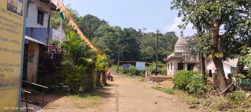 Wild animal scare in Nerse area