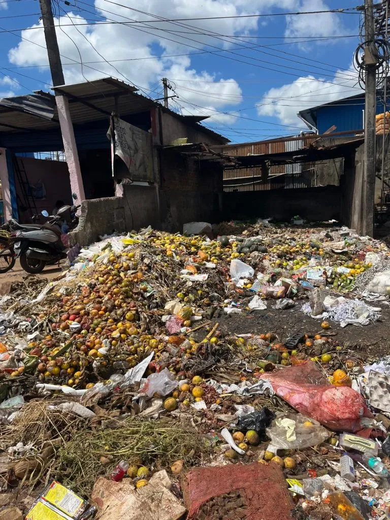सडलेल्या फळांमुळे परिसरात दुर्गंधी Bad smell in the area due to rotten fruits