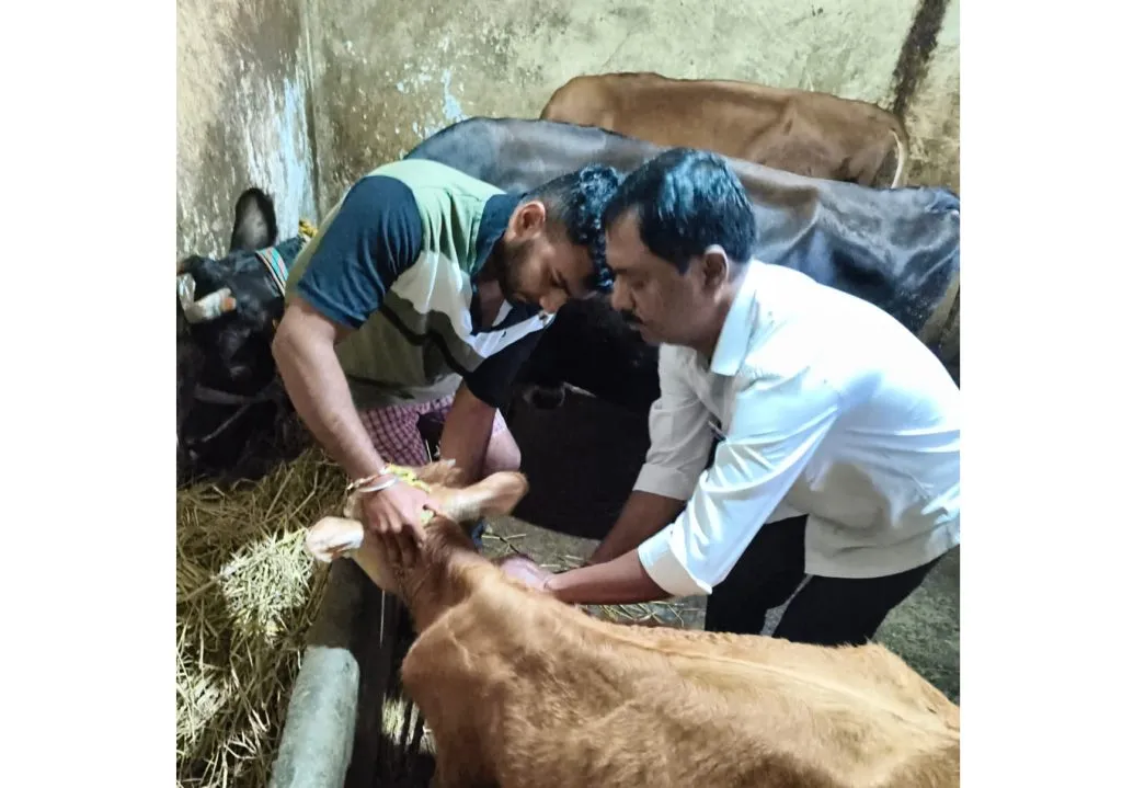 The eighth round of saliva vaccination begins